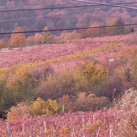 Rozina * Pliskovica