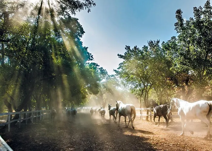 Rozina בית נופש